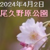 240402ogunohara